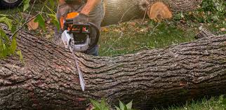 Best Lawn Irrigation Installation and Maintenance  in York, SC