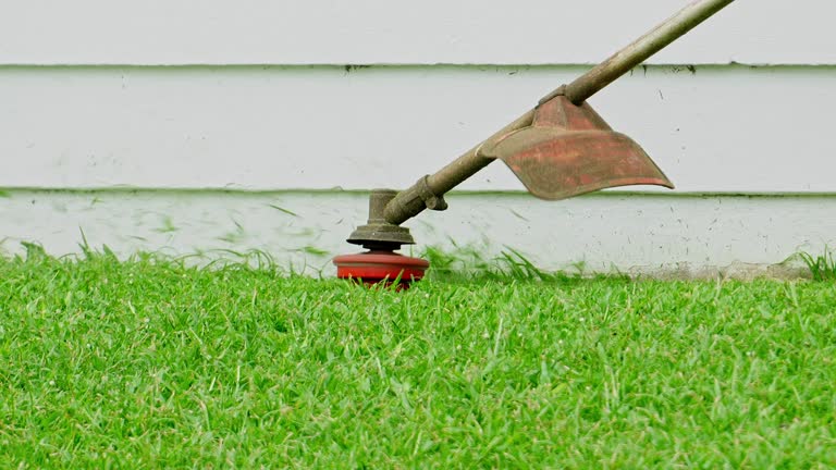 Lawn Renovation and Restoration in York, SC